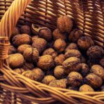 Reddybook Review: Transforming Education and Community Engagement with Modern Digital Tools